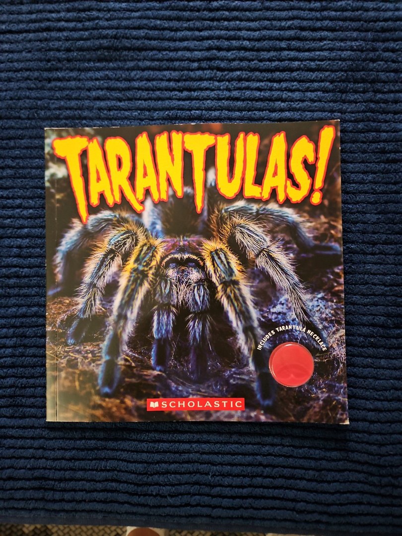 Tarantulas!