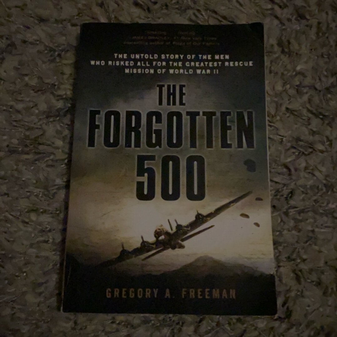 The Forgotten 500
