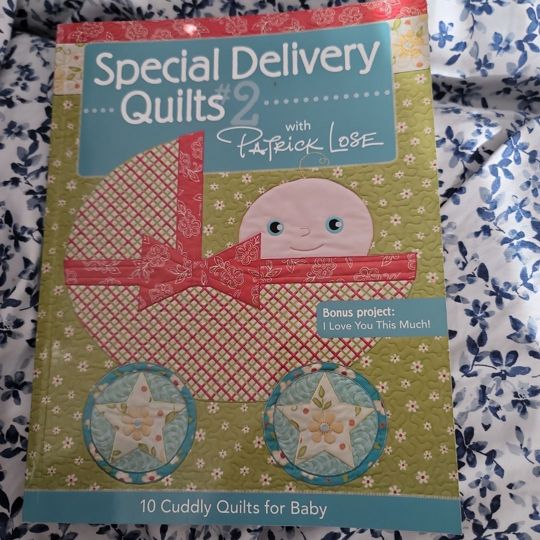 Special Delivery Quilts 2