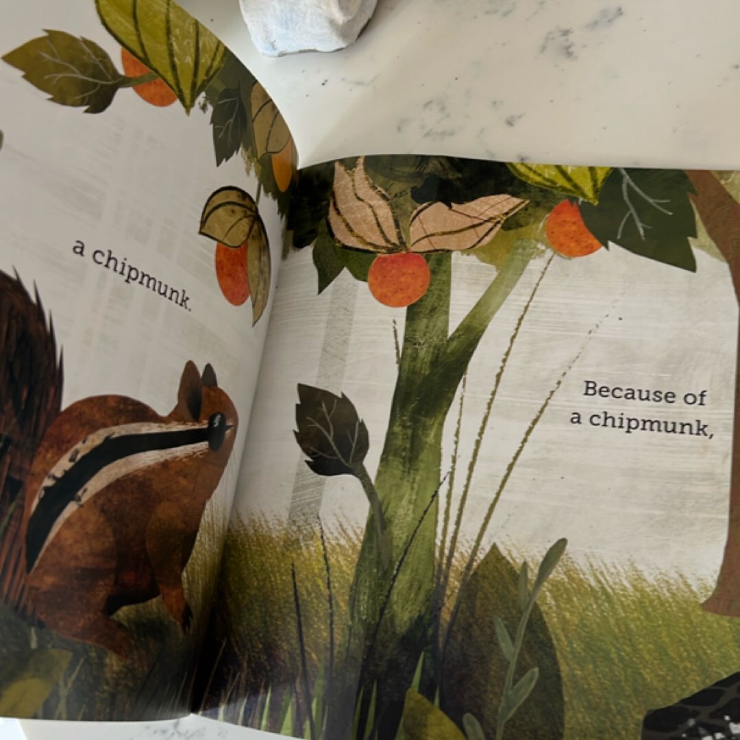 Because of an Acorn by Lola M. Schaefer, Adam Schaefer