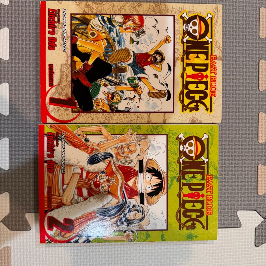 One Piece, Vol. 1 (first print, foil) by | PangoBooks