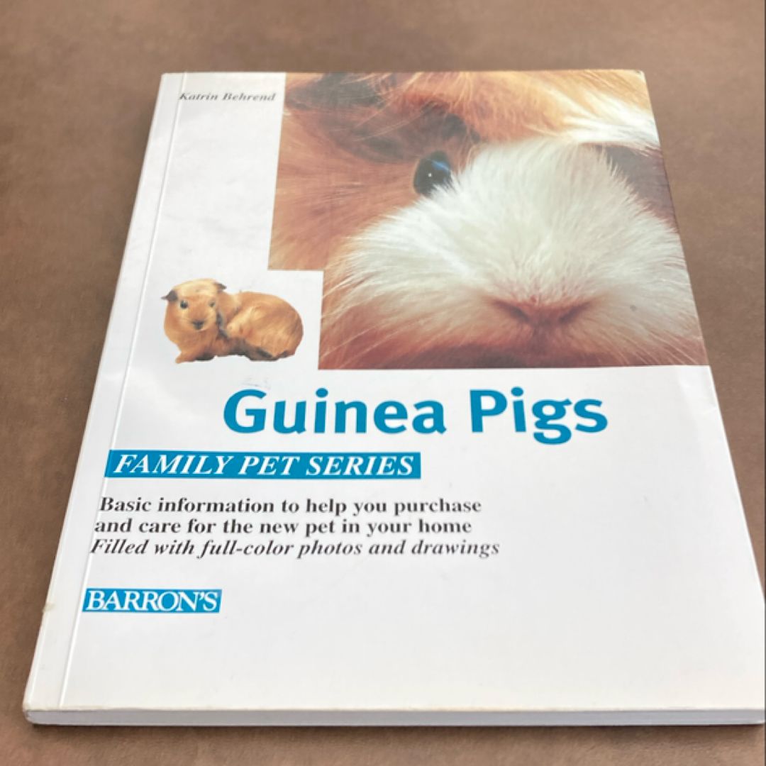 The Guinea Pig