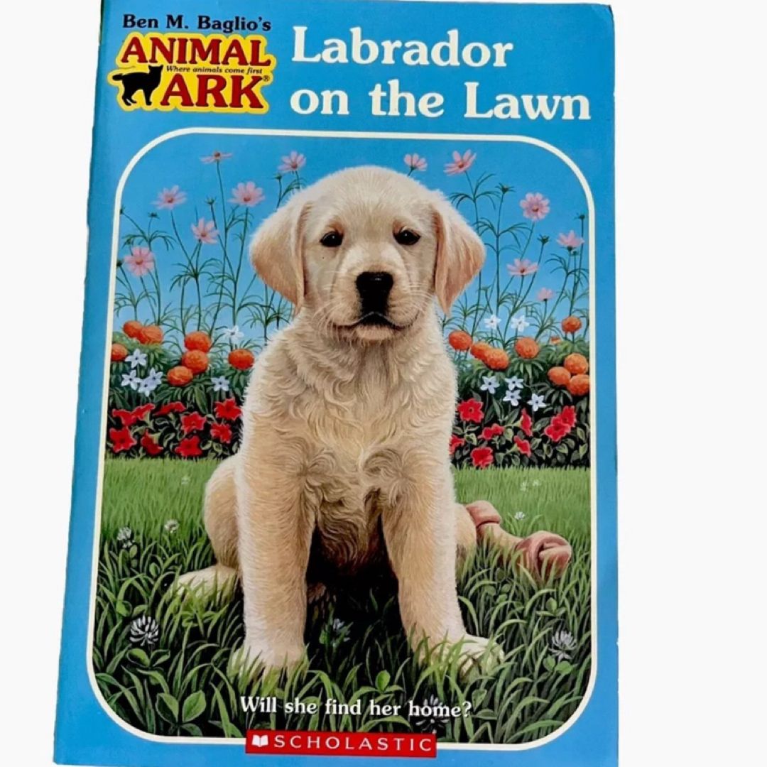 Labrador on the Lawn