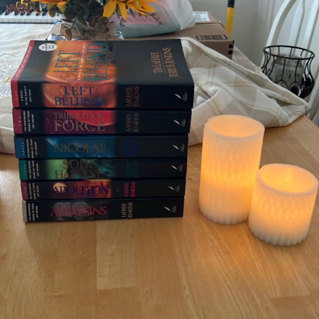 Left Behind, Tribulation Force, Nicolae, Soul Harvest, Apollyon, and Assassins (6 book bundle)