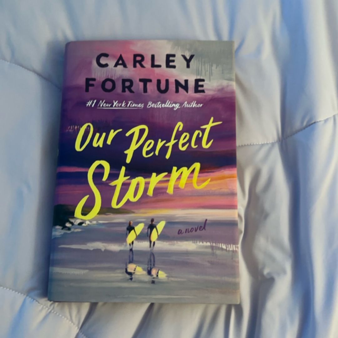 Our Perfect Storm