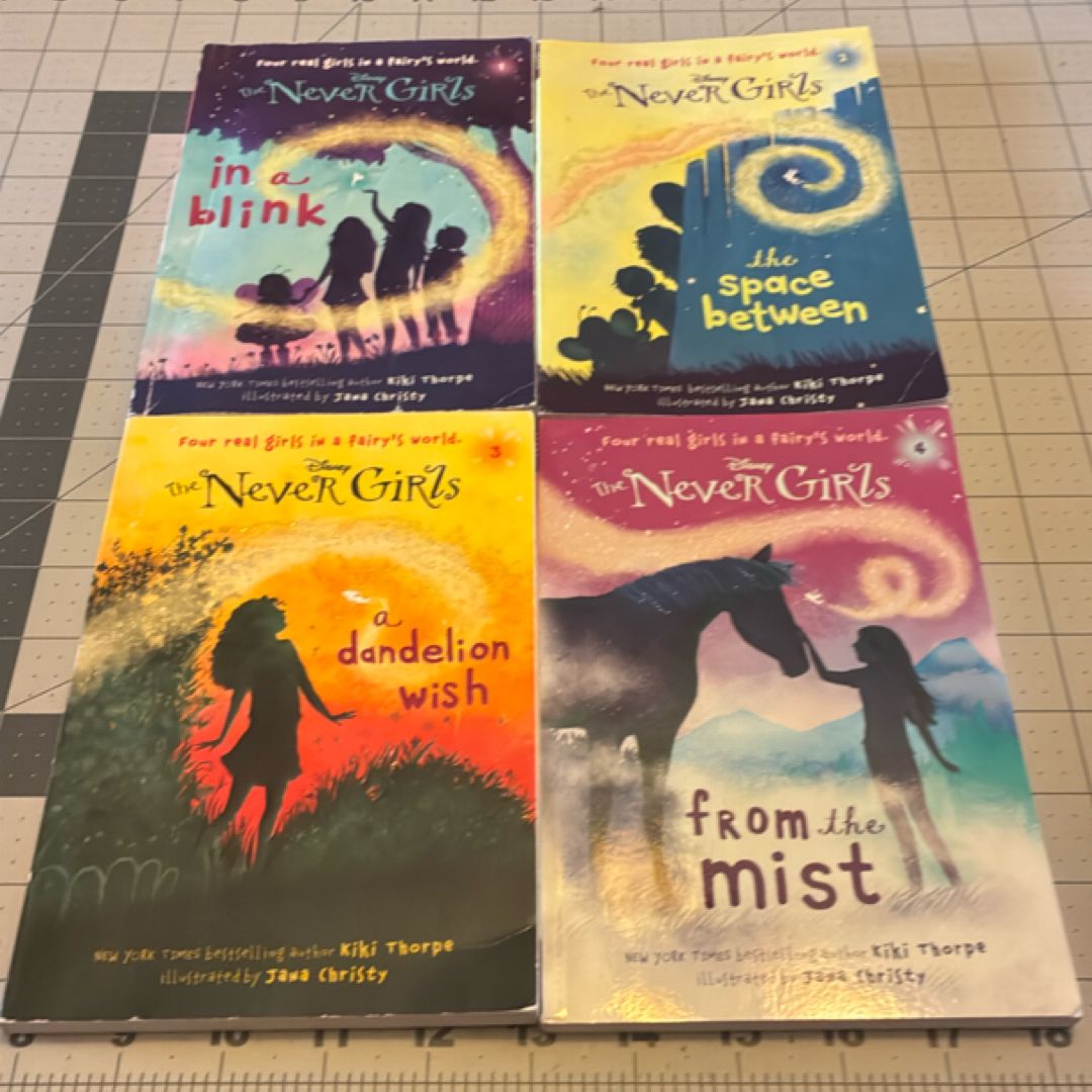 Never Girls #1: in a Blink (Disney): the Never Girls) book bundle