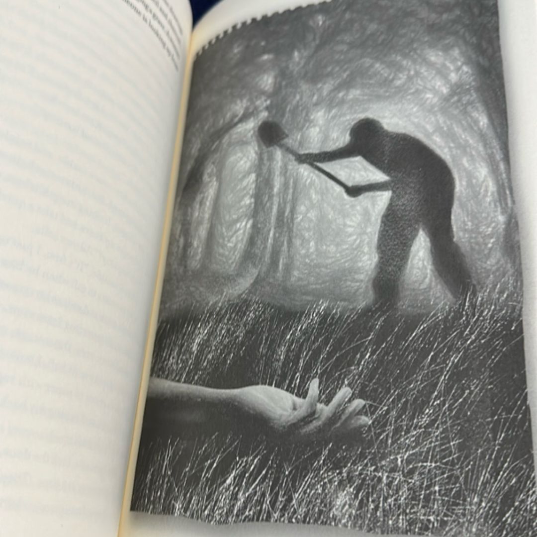 Hidden Pictures by Jason Rekulak, Hardcover | Pangobooks