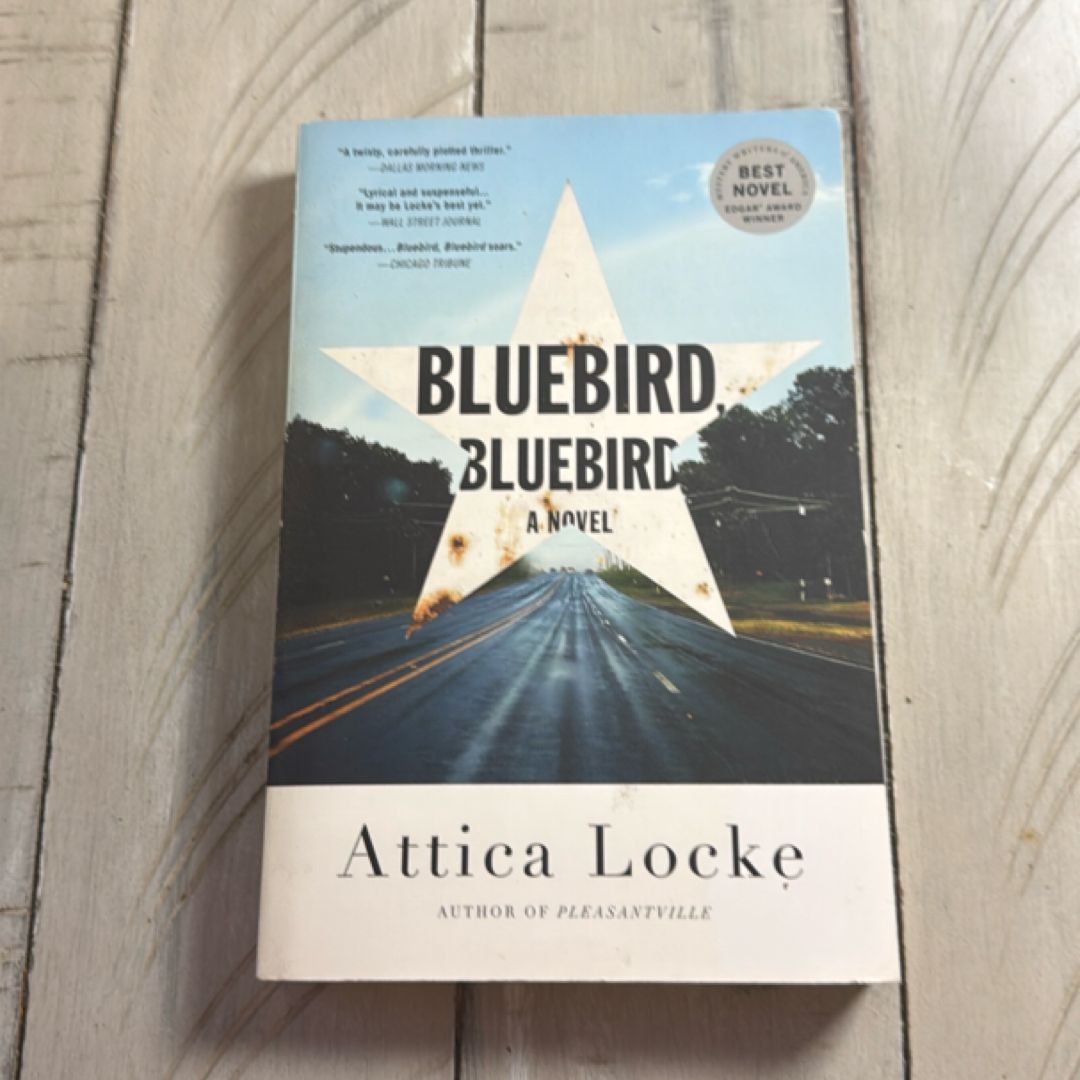 Bluebird, Bluebird