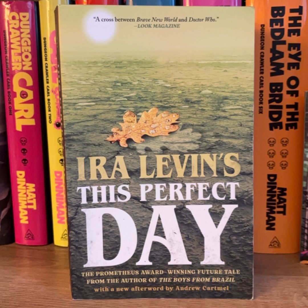 This Perfect Day