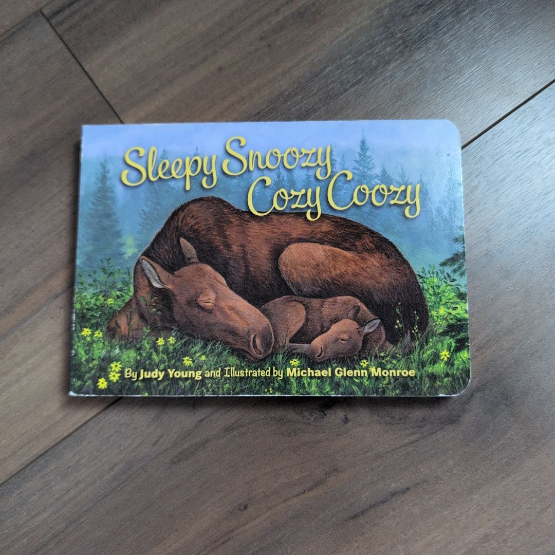 Sleepy Snoozy Cozy Coozy