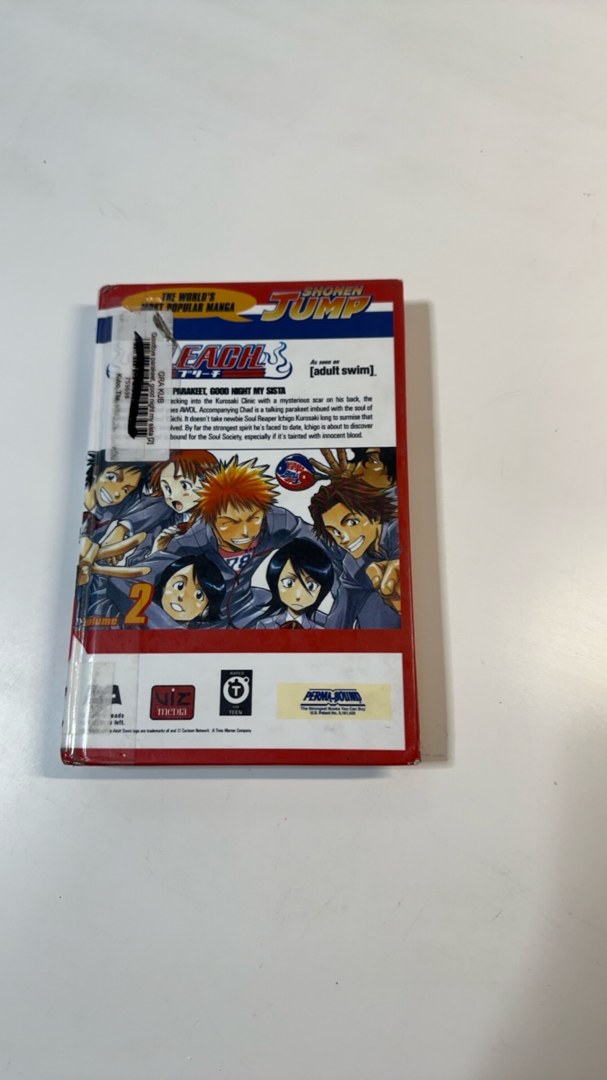 Bleach, Vol. 2
