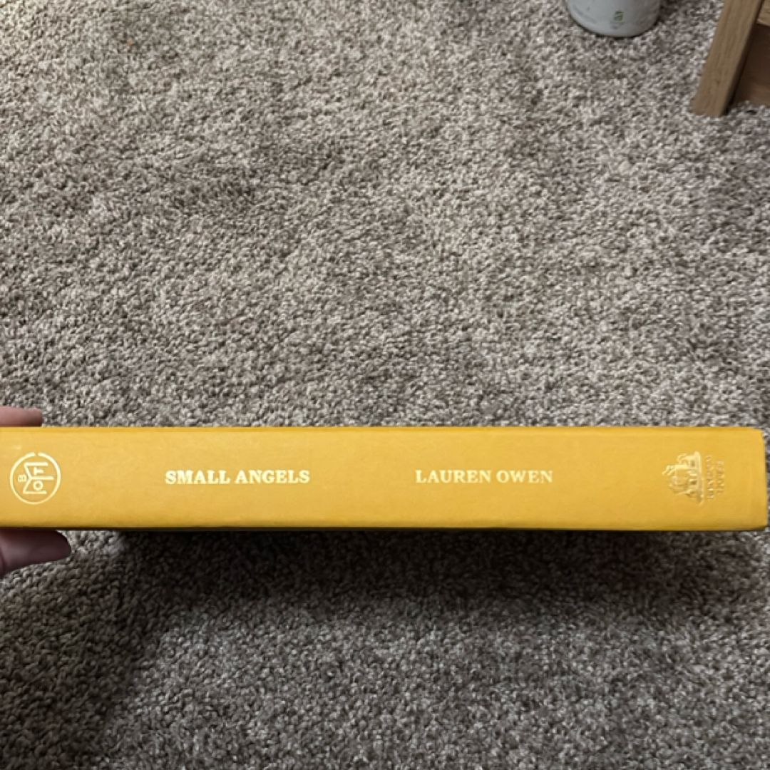 Small Angels by Lauren Owen, Hardcover | PangoBooks