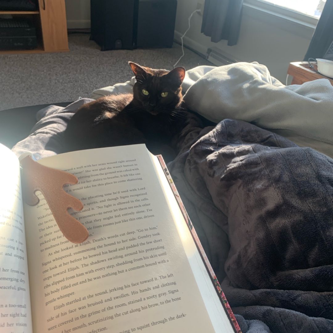 Kat’s Library