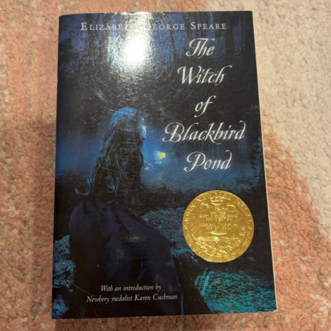 The Witch of Blackbird Pond