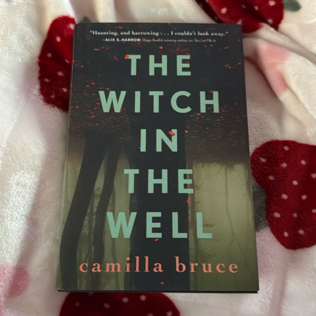 The Witch in the Well