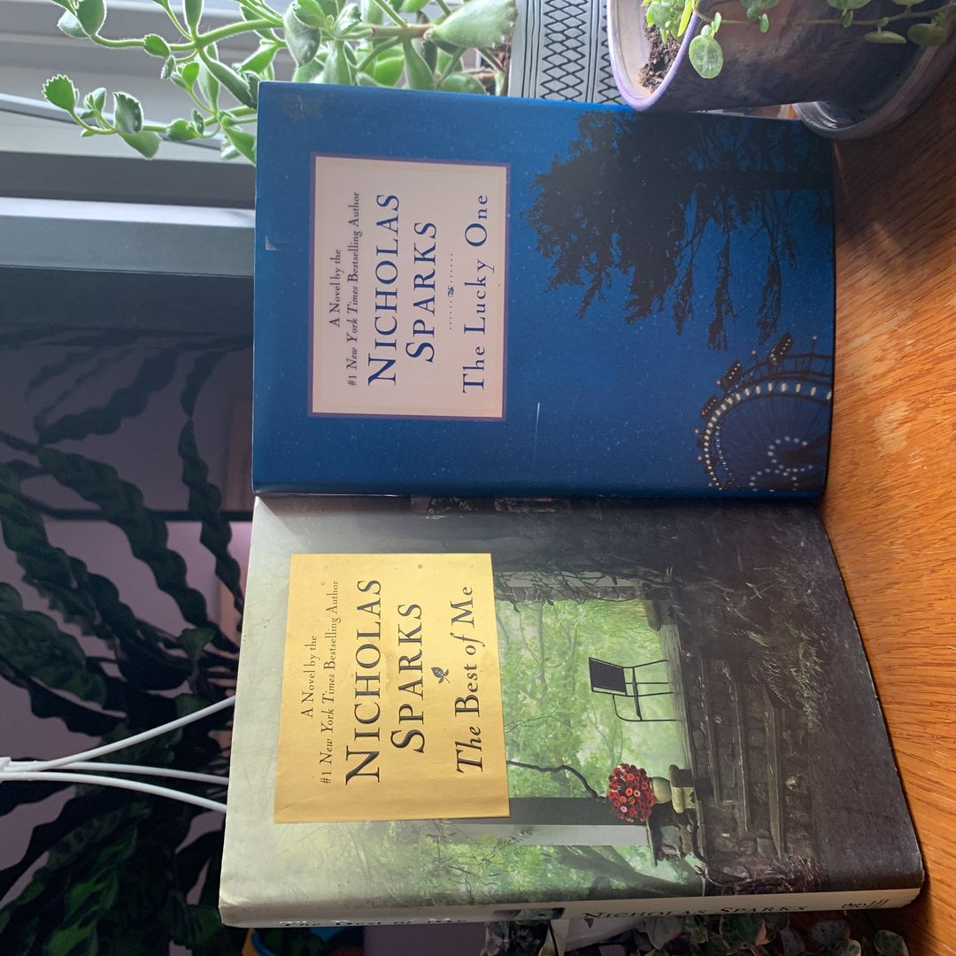 The Lucky One/The Best of Me