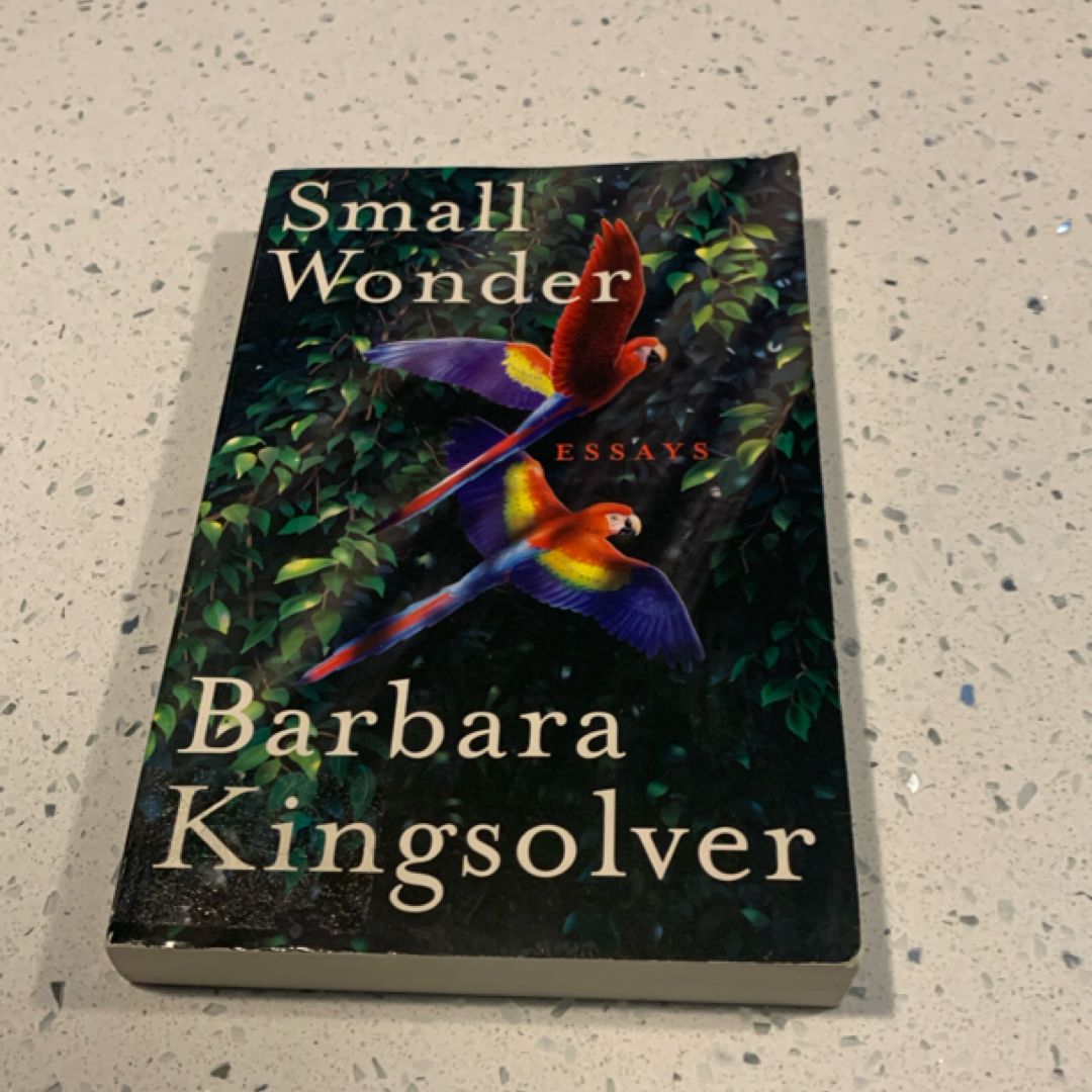 Small Wonder - Essays