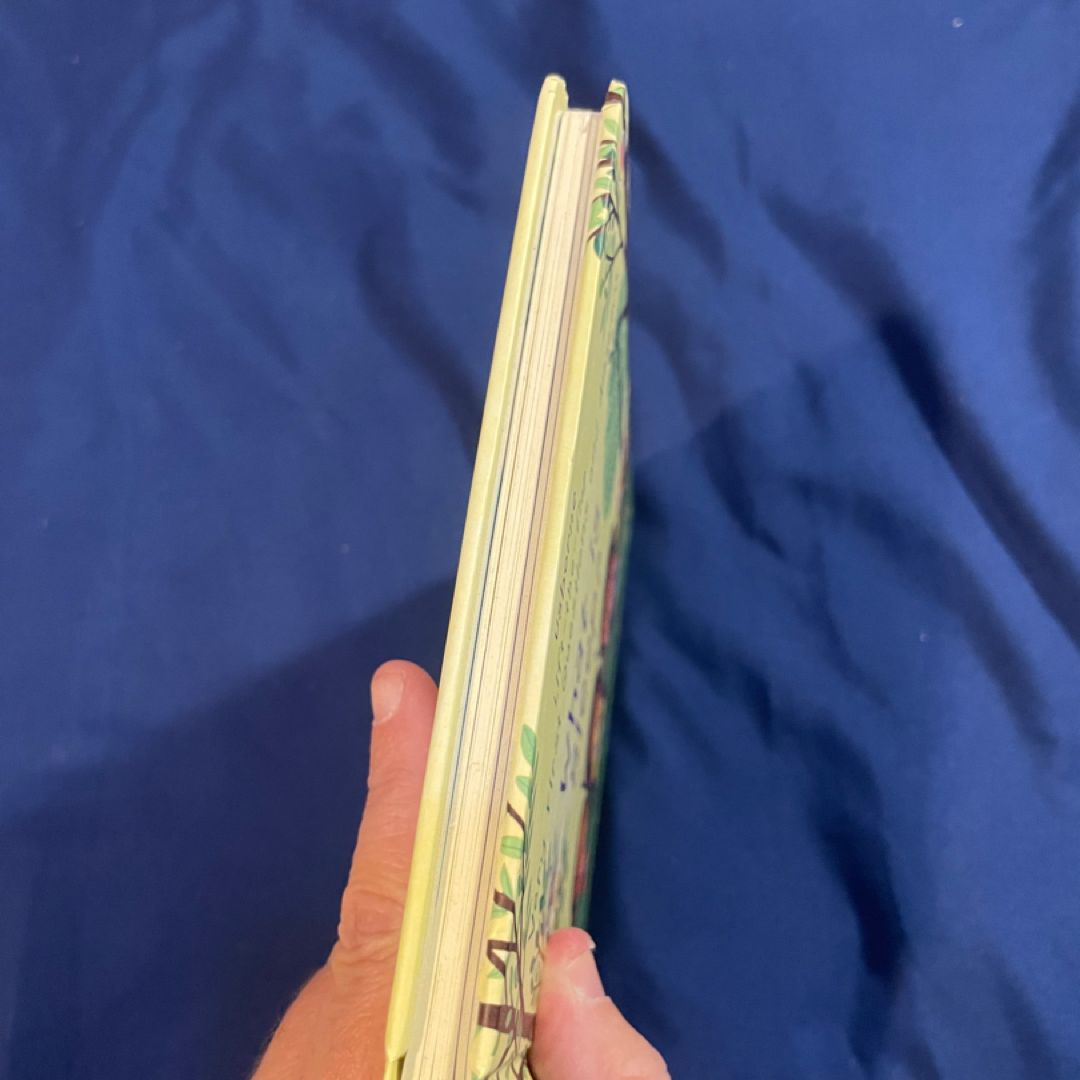 Lift-The-Flap Very First Questions and Answers What Is Sleep?