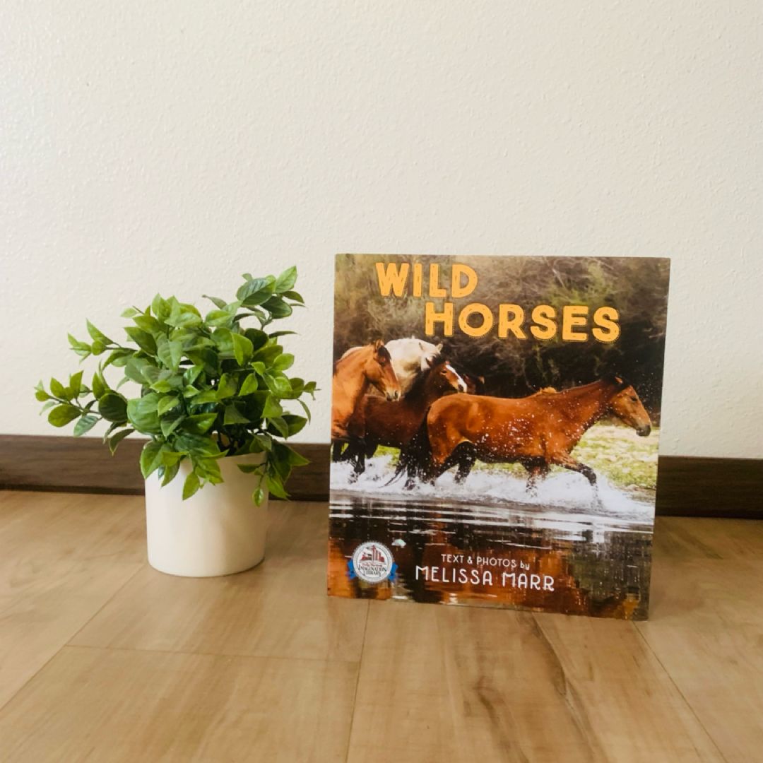 Wild Horses