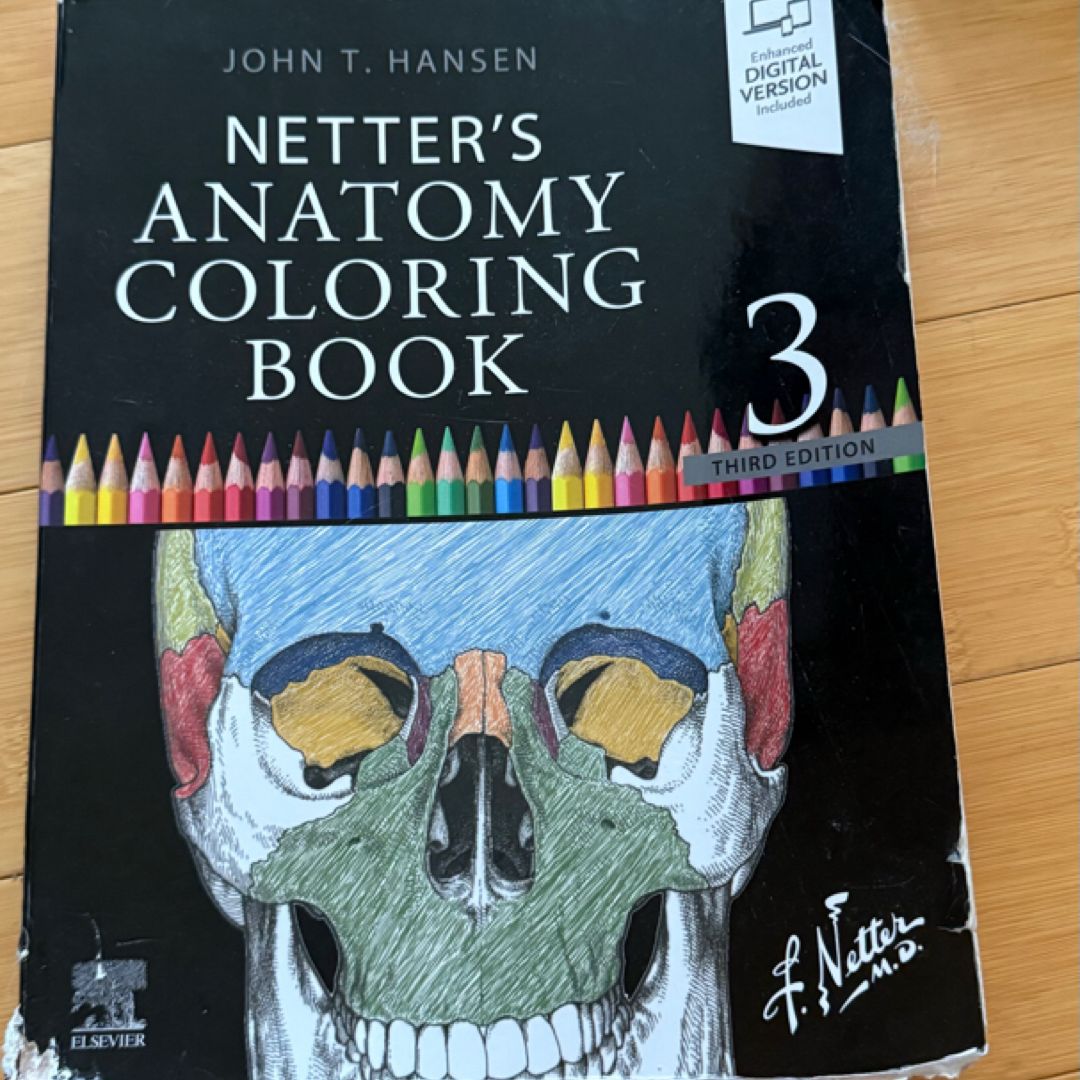 Netter's Anatomy Coloring Book Updated Edition by John T. Hansen