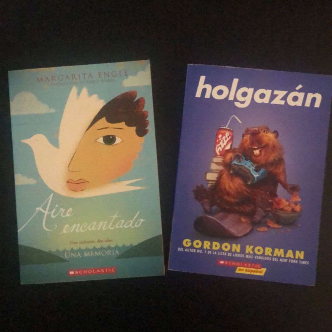 Holgazán