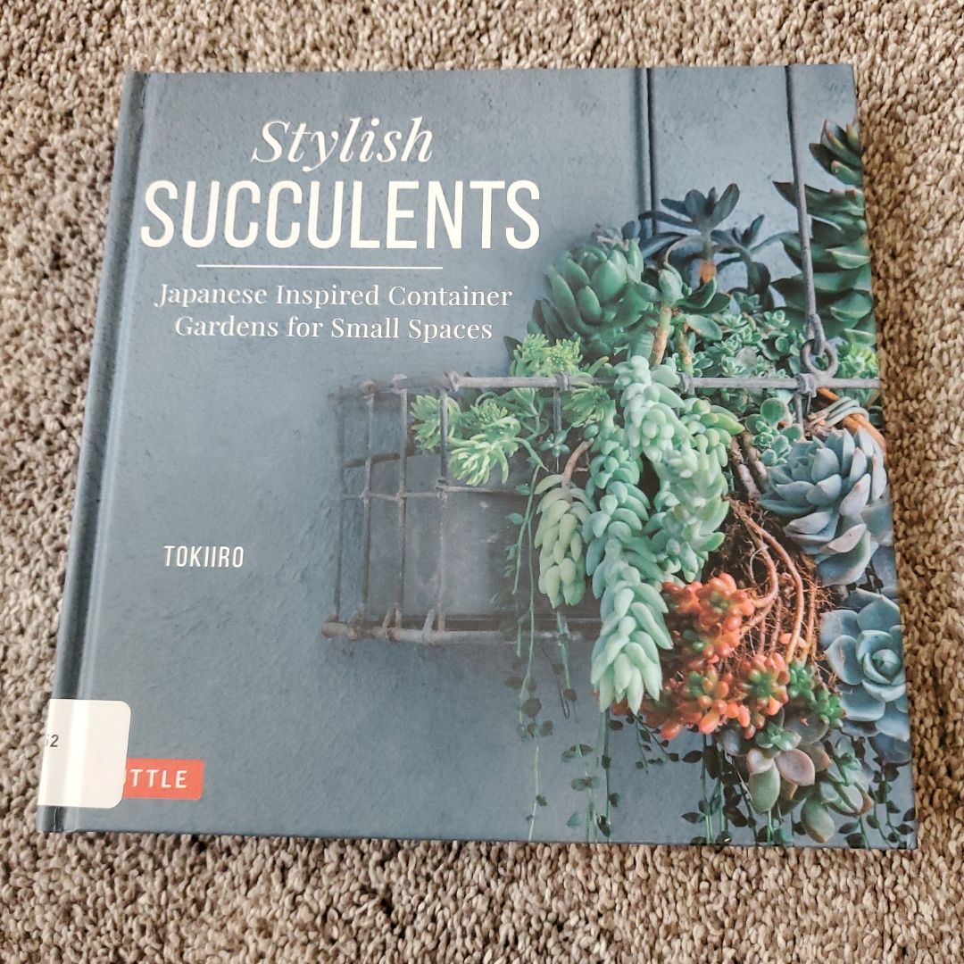 Stylish Succulents