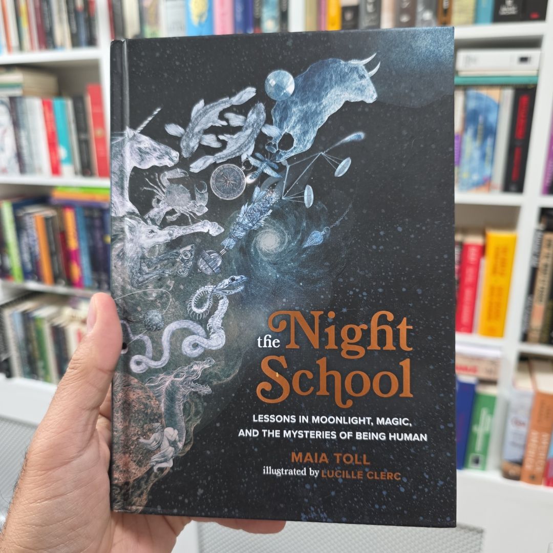 The Night School