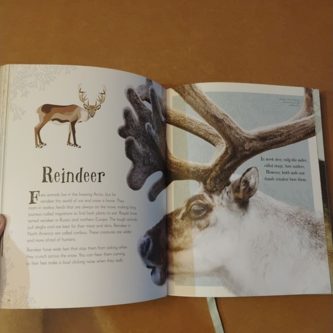 An Anthology of Intriguing Animals