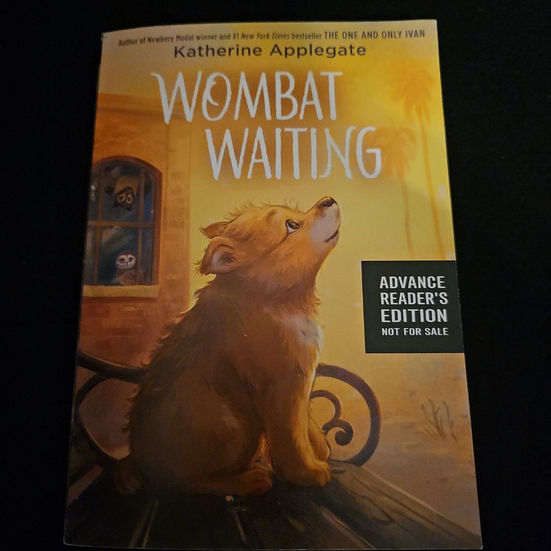 Wombat Waiting