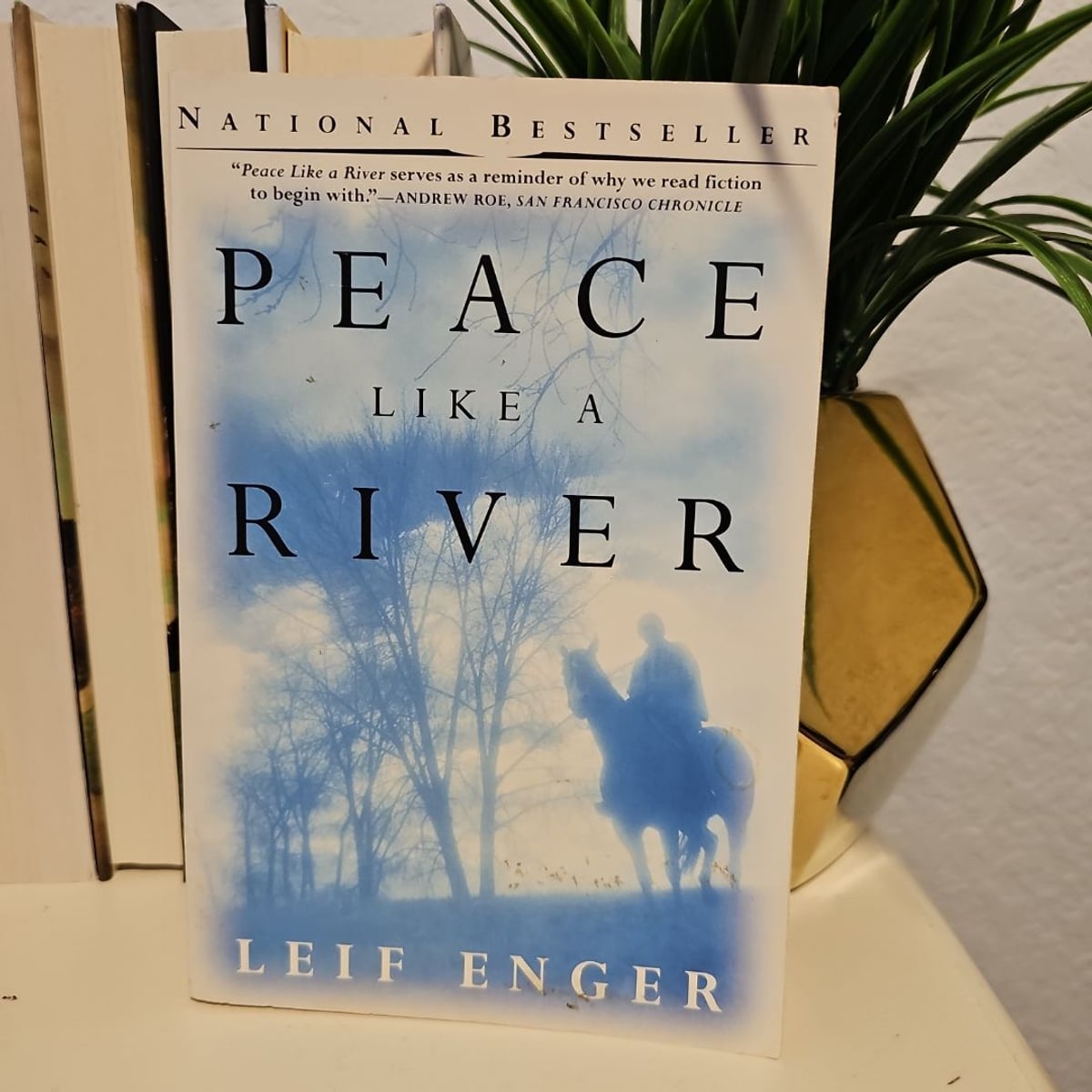 Peace Like a River by Leif Enger