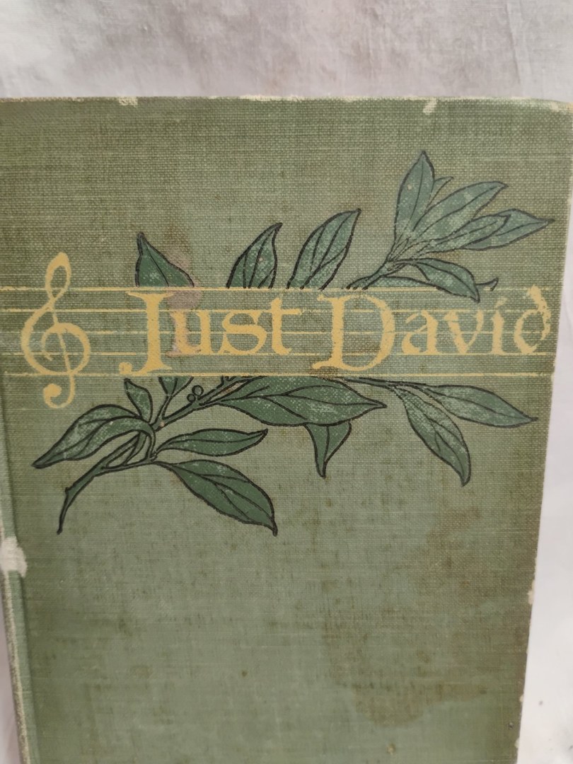 Just David