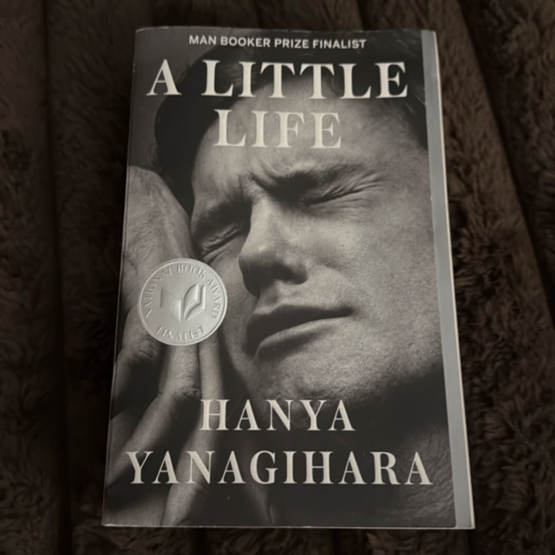 A Little Life