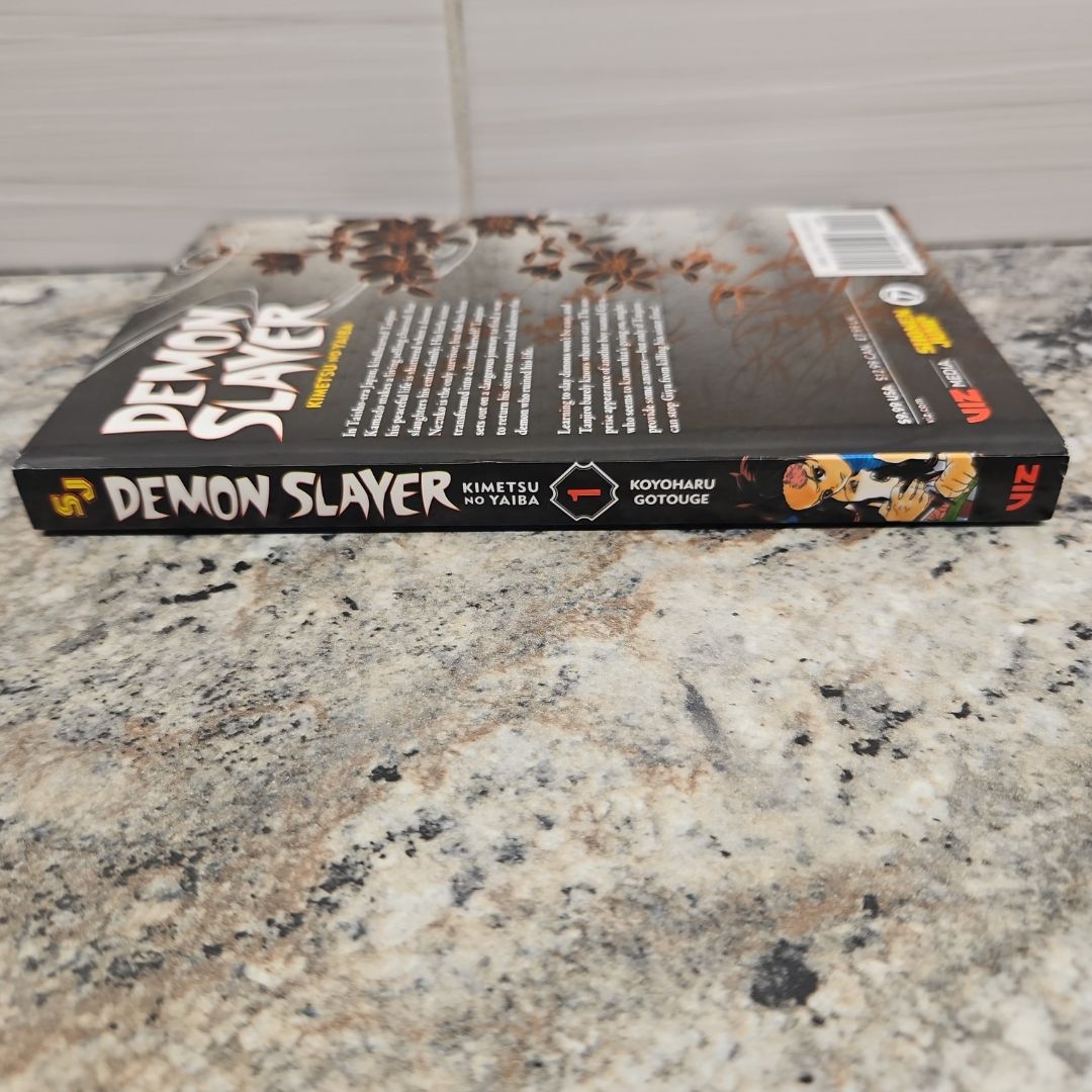 Demon Slayer: Kimetsu No Yaiba, Vol. 1