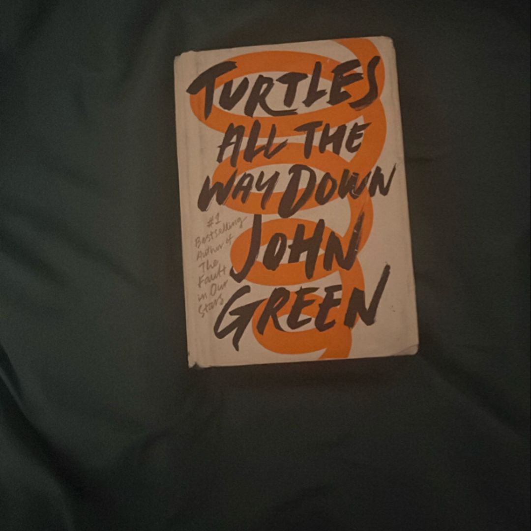 Turtles All the Way Down