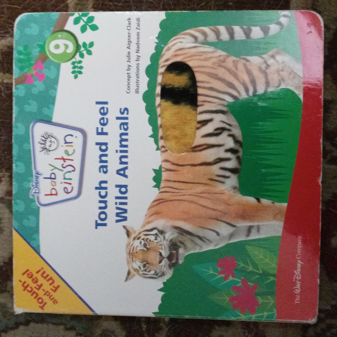 Touch and Feel Wild Animals