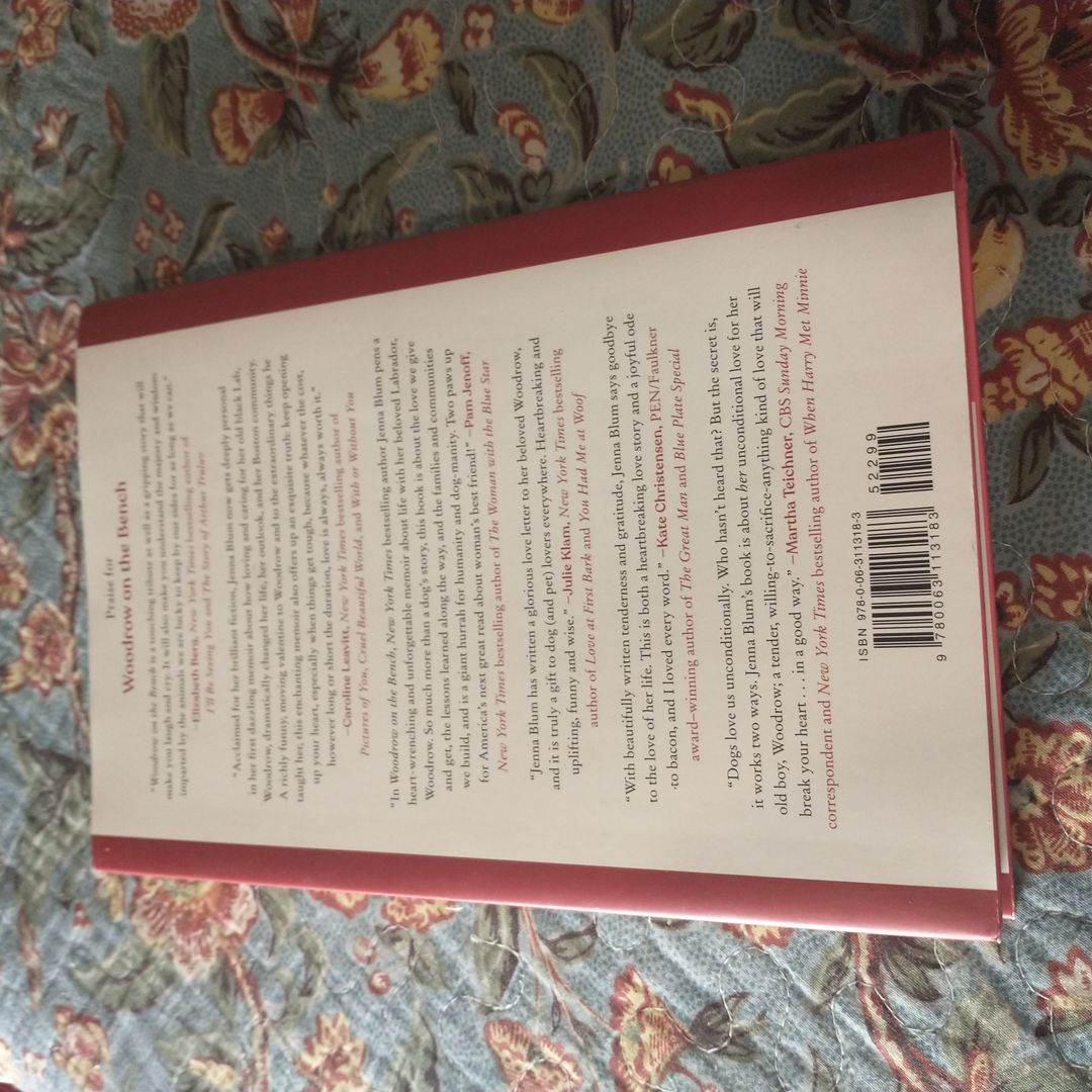 Woodrow on the Bench