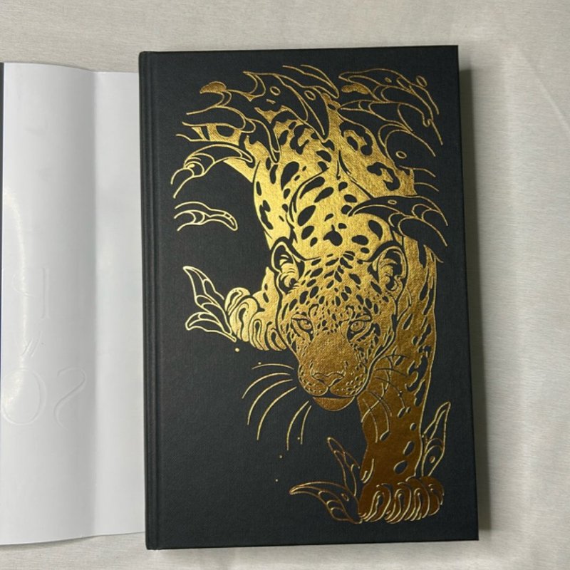 The Prince Without Sorrow