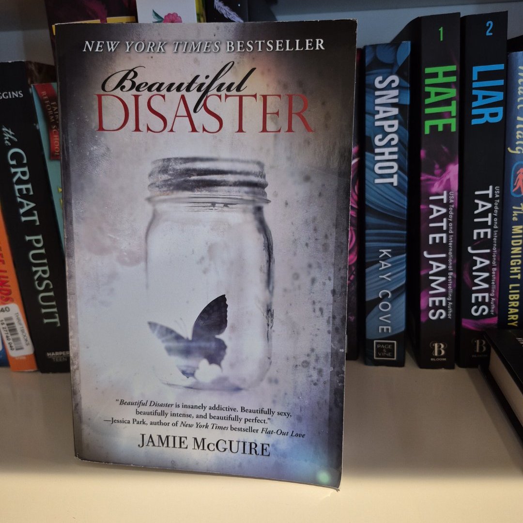Beautiful Disaster