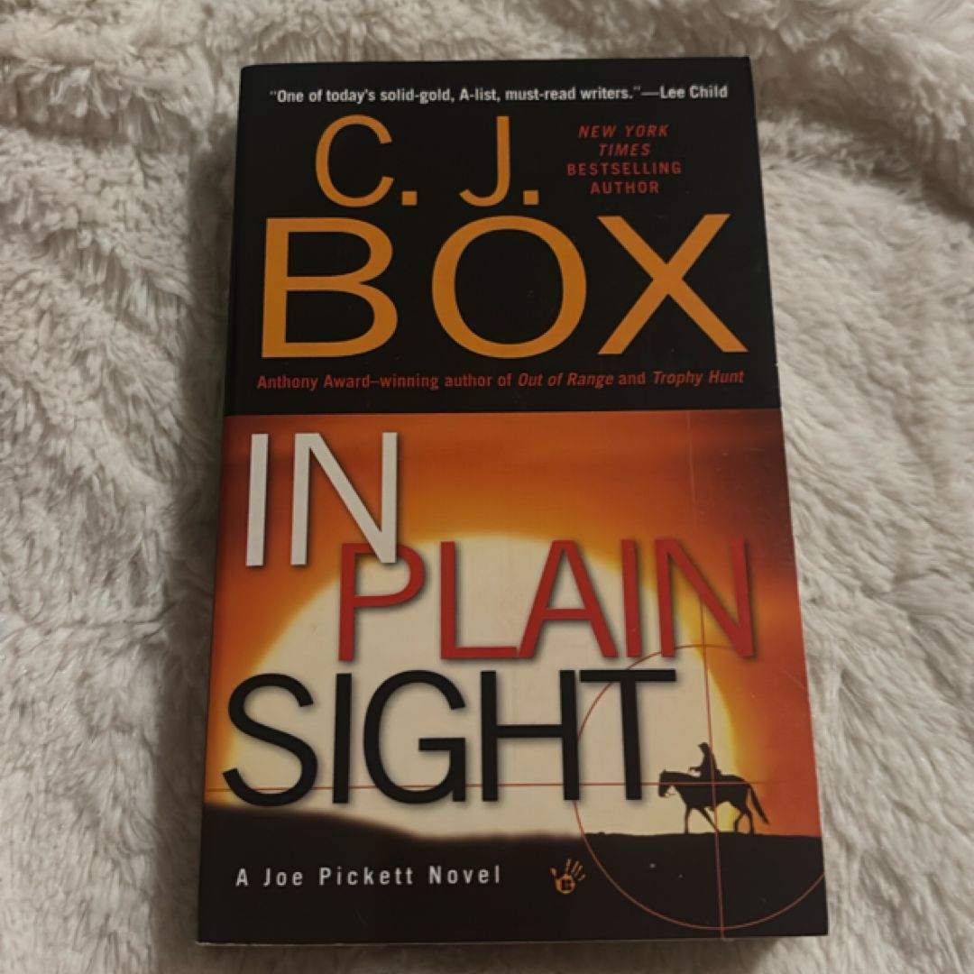 In Plain Sight