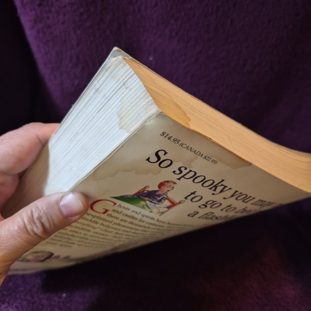 The Everything Ghost Book by Jason R. Rich