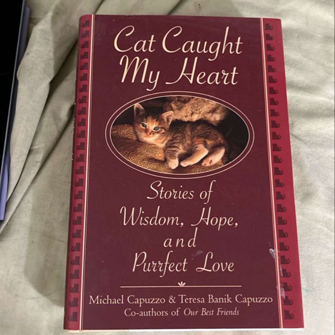 The Cat Caught My Heart