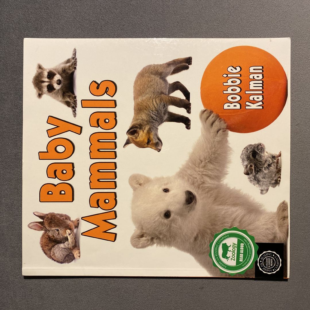 Baby Mammals