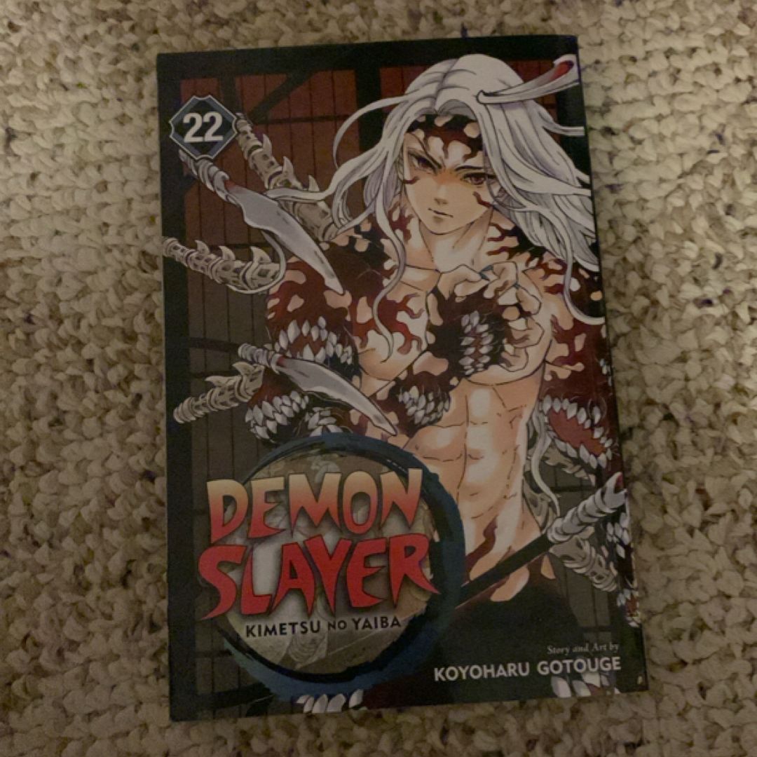 Demon Slayer: Kimetsu No Yaiba, Vol. 22