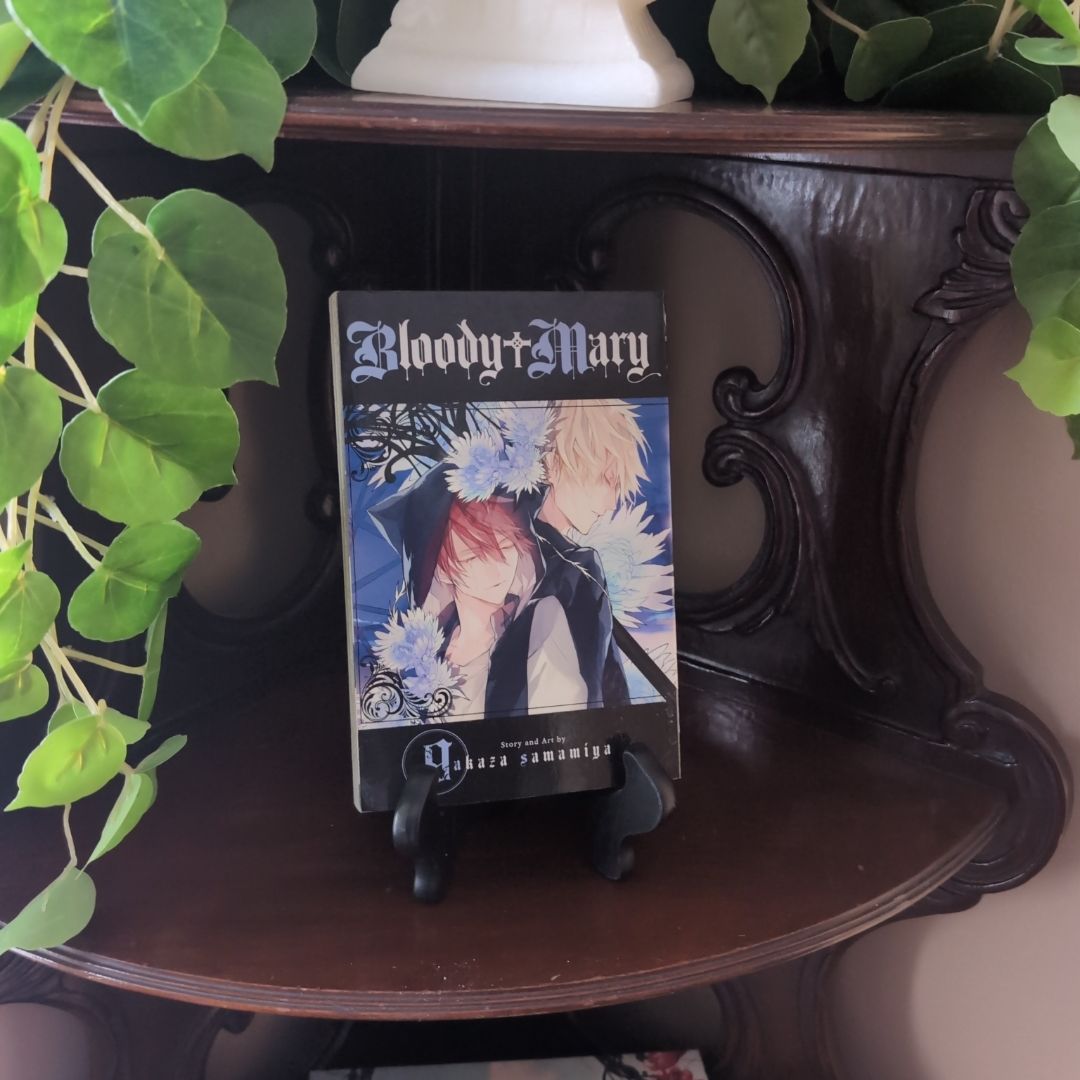 Bloody Mary, Vol. 9