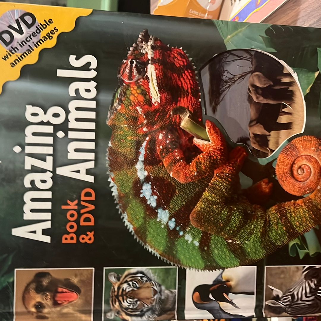 Amazing Animals