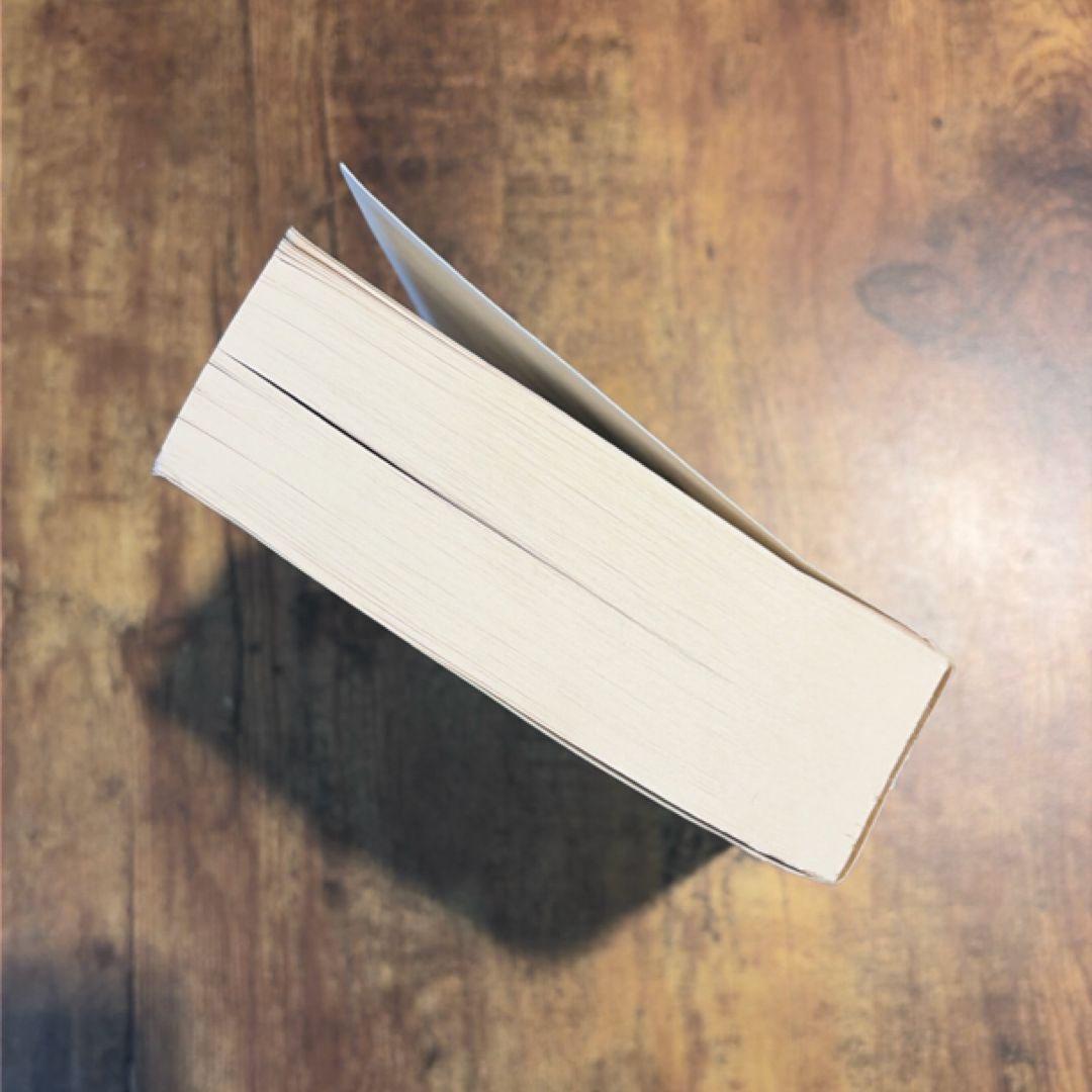 The Savage Detectives