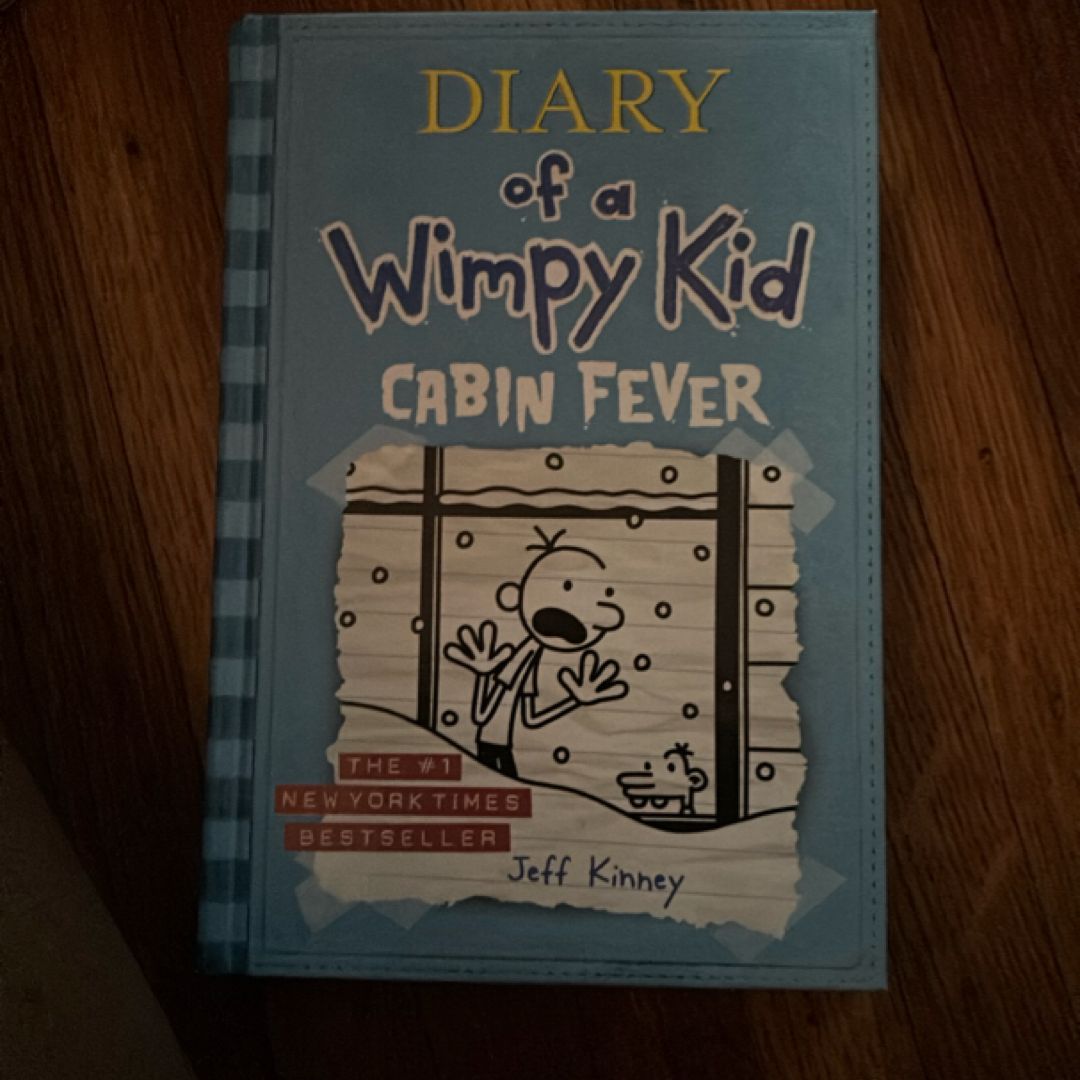 Diary of a Wimpy Kid # 6