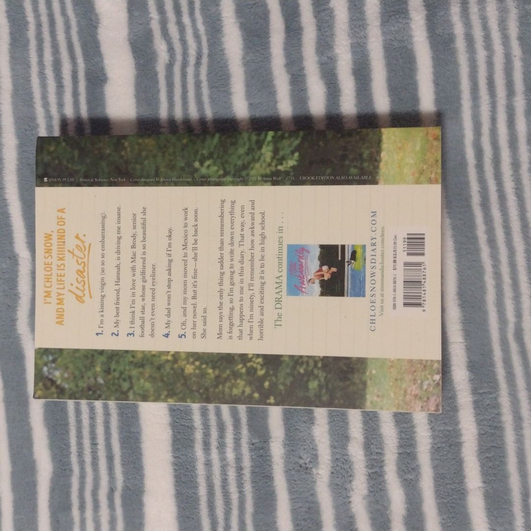 Confessions of a High School Disaster