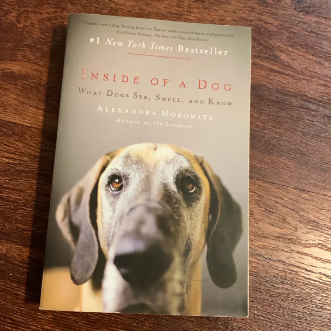 Inside of a Dog