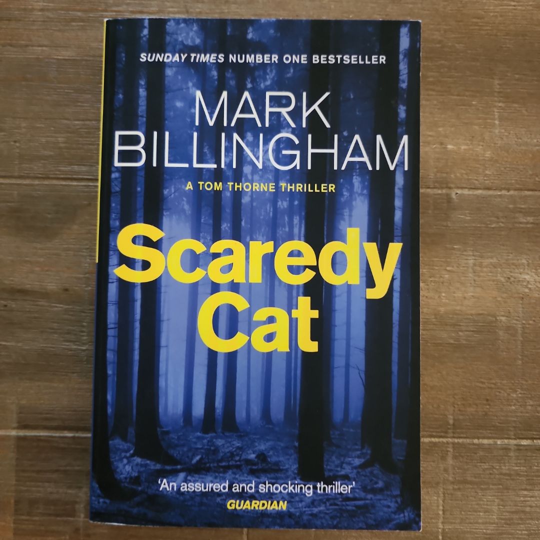 Scaredy Cat